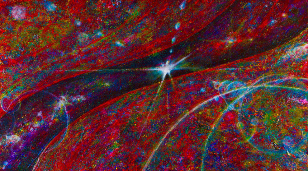 <strong>Magic</strong><br />48" x 96" | <a href="https://sparstreet.com/magic-2/">Learn More About This Painting</a>